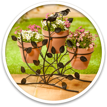 Jardin, extérieur et animaux