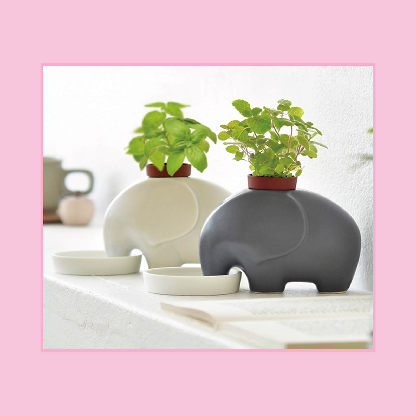 Pot éléphant à réserve d'eau gris ou blanc