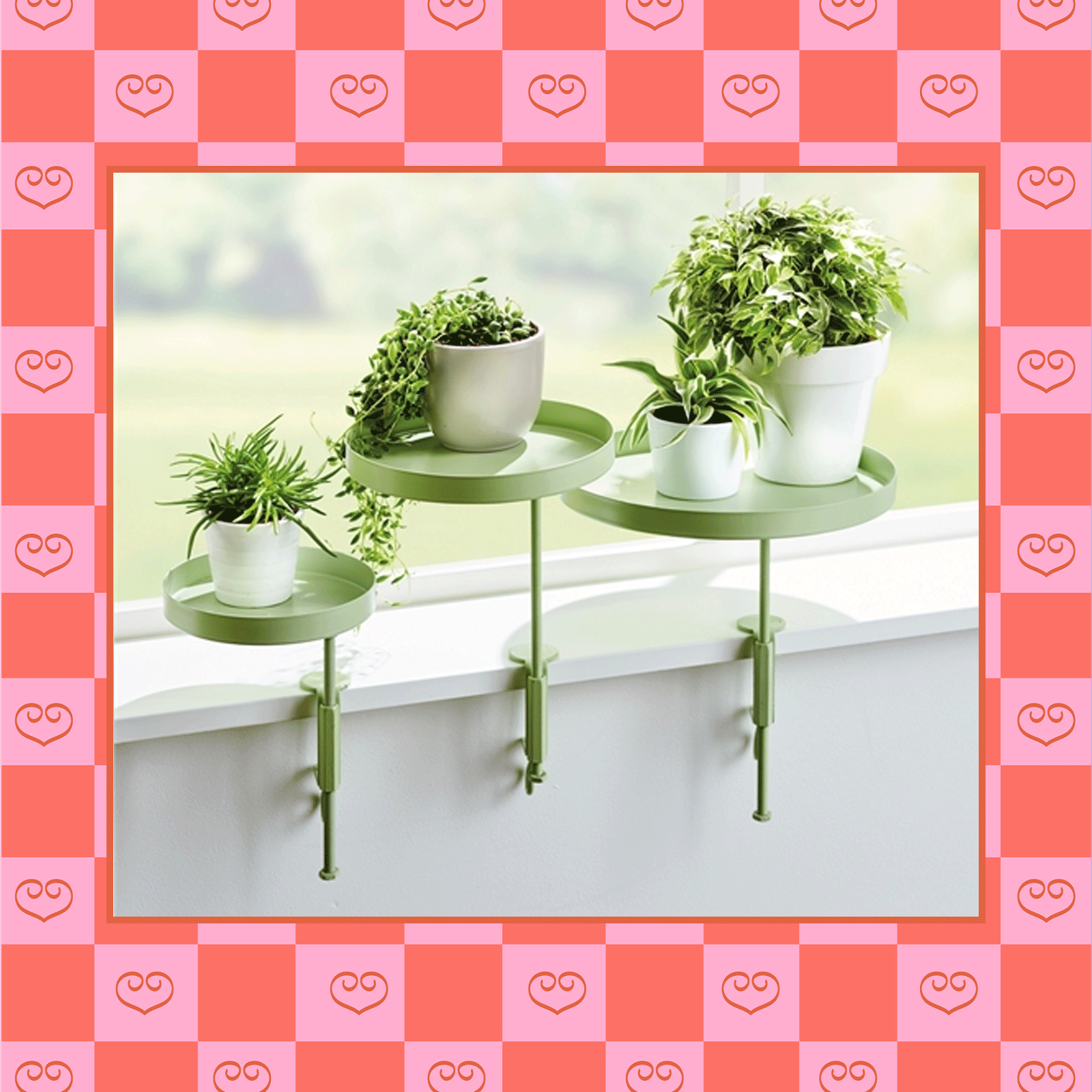 Support plantes : divers coloris